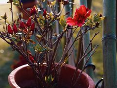 -盘龙城国家考古遗址公园