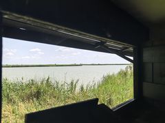 -盐城丹顶鹤湿地生态旅游区