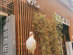 -琬苑鸽庄·川粤融合菜(解放碑总店)