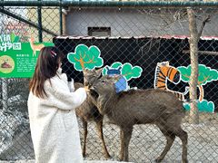 -枫叶小镇奥特莱斯