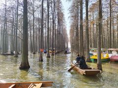 -渌洋湖湿地公园