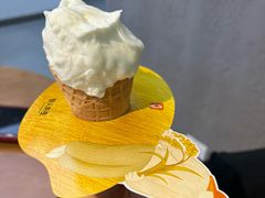 -野人先生现做冰淇淋(北京悠唐购物中心店)