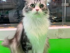 -茂业百货(东门店)