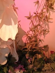 -头道汤头疗养生馆