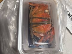 -杨氏青龙虾·羊蝎子(托乐嘉店)