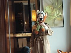 -上海嘉定喜来登酒店