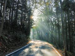 -潜山国家森林公园