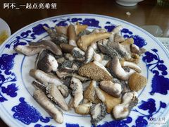 羊肚领-东兴顺爆肚张