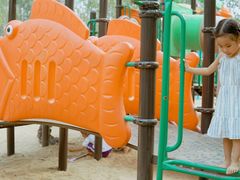 -合肥滨湖国家森林公园