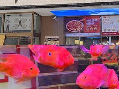 -小城外婆肴私房菜.家宴聚集点(圆明园颐和园·清河上地店)