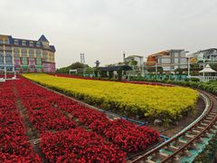 -百万葵园