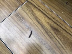 -厦门悦华酒店