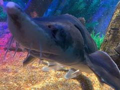 -沈阳海洋探索中心