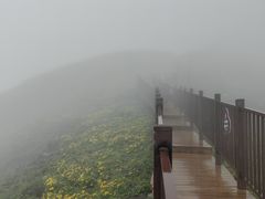 -牛背山