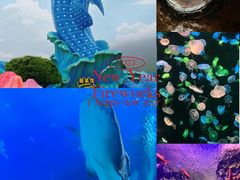 -珠海长隆海洋王国