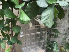 -上海大自然野生昆虫馆