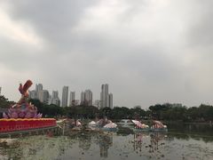 -映月湖公园