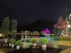 -深圳东部华侨城茵特拉根酒店