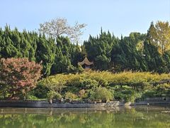 -嘉定紫藤园