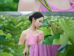 -陶辛水韵