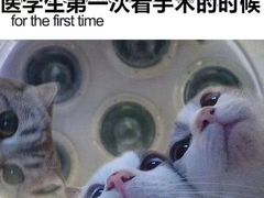 -新疆尊茂银都酒店