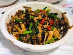 爆炒田鸡-壹盏灯(惠农店)