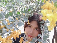 -飞凤山奥体公园