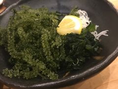 海葡萄-鰓呼吸(那覇久茂地店)