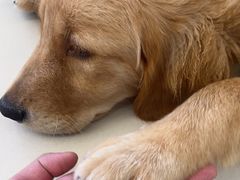 -怪兽屋·羊驼·猫咖·狗咖(俊华广场店)