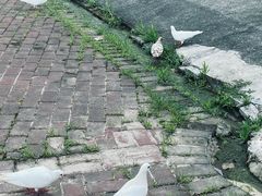 -水濂山森林公园