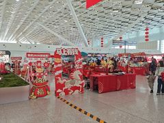 -郑州新郑国际机场-T2航站楼