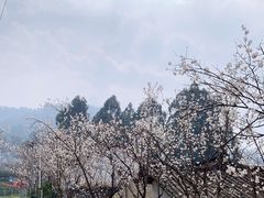 -樱桃山旅游景区