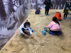 -恐龙探索乐园(磁器口店)