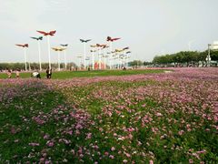 -万顷园艺世界