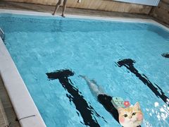 -蓝海豚游泳俱乐部(南京西路店)