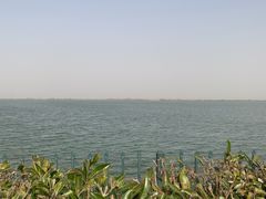 -江滩湿地公园