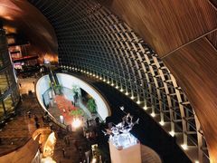 -国家大剧院西餐厅