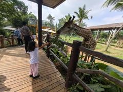 -海南热带野生动植物园