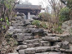 -铁山坪森林公园