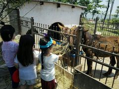 -上海滴水湖皇冠假日酒店