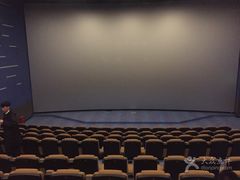 -纵横国际影城杜比全景声巨幕(天安云谷店)