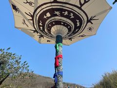 -西双版纳原始森林公园