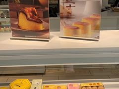 -蒲公英(五里店)
