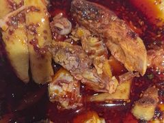 -杨氏青龙虾·羊蝎子(金盛路总店)