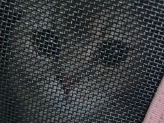 -瑞派福兴宠物医院犬猫全科·骨科·中西医结合(河东店)