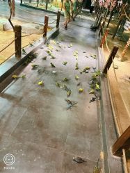 -酷嗒动物文化乐园(cutezoo西溪乐天城店)