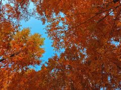 -白鹭湾湿地公园