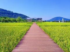 -艾米稻香小镇