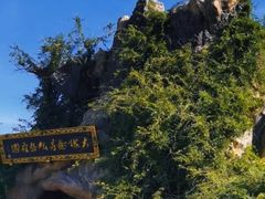 -大槐树寻根祭祖园