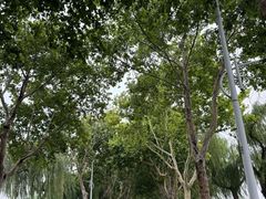 -云龙湖旅游景区